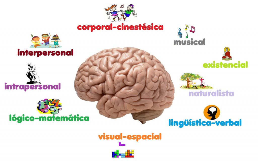 Factores Que Determinan La Inteligencia | Actualizado Octubre 2024