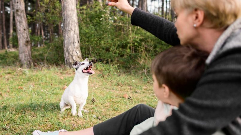 Educación canina, aprendizaje en familia para crear vínculos eternos