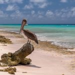 Xel-Ha El paraíso acuático de Riviera Maya